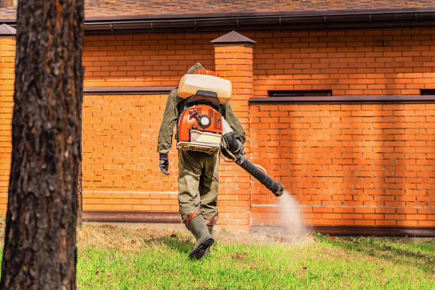 Bed Bug Clearance Verification and Documentation in Dawson Springs